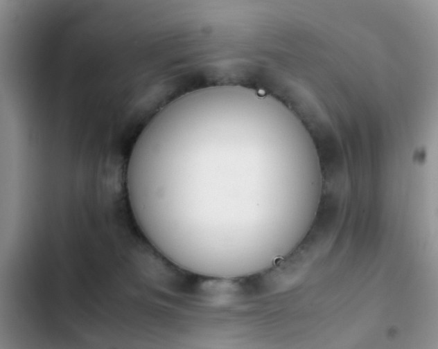 X0000102860133200808181451