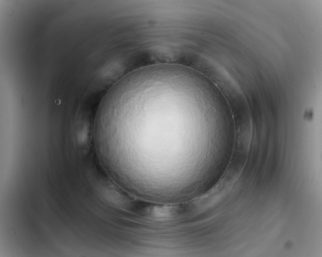 X0000102860134200808181451