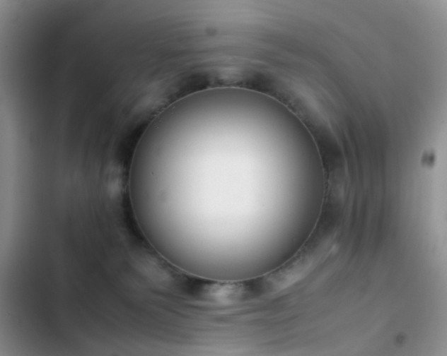 X0000102860135200808181451