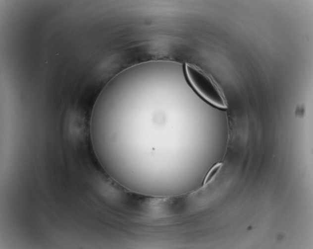 X0000102860136200808181450