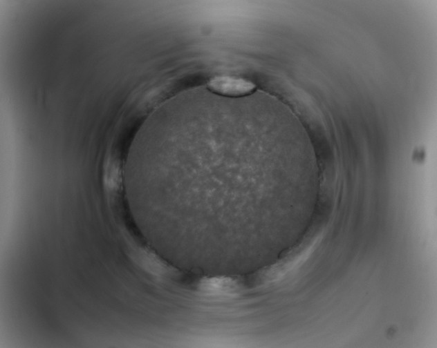 X0000102860137200808181450