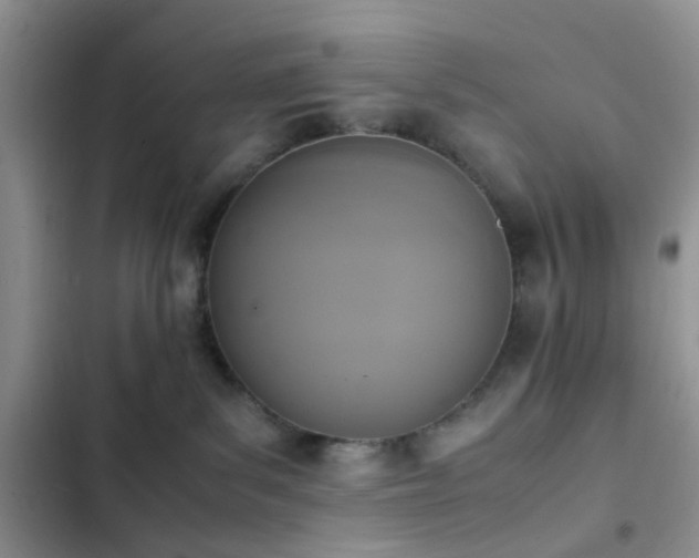 X0000102860139200808181450