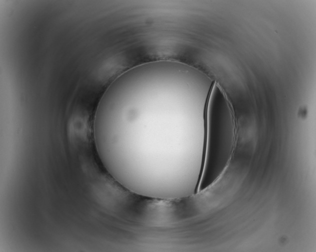 X0000102860140200808181450