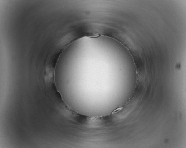 X0000102860141200808181450