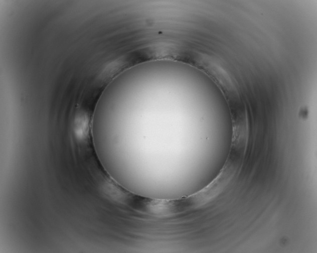 X0000102860142200808181450