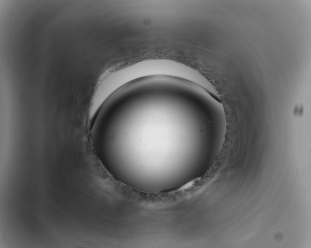 X0000102860144200808181450