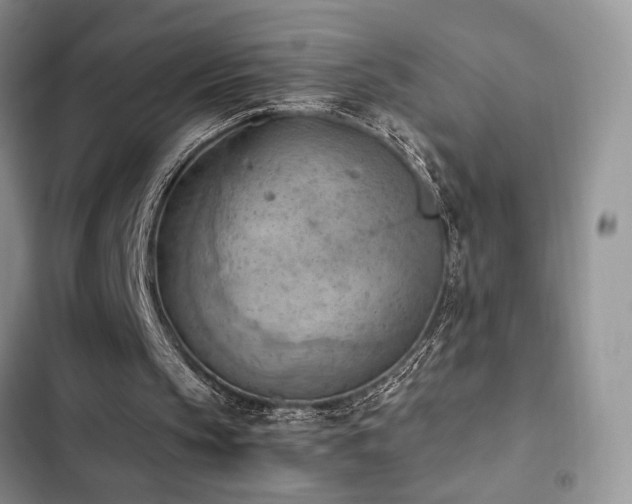 X0000102860145200808181450