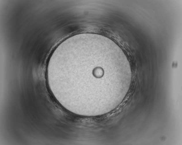 X0000102860146200808181450