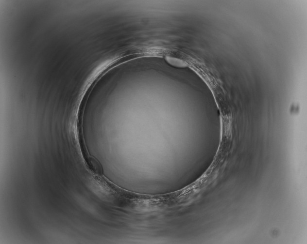 X0000102860147200808181450