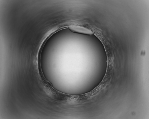 X0000102860148200808181450