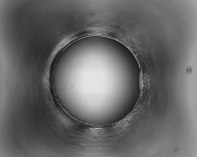 X0000102860150200808181450