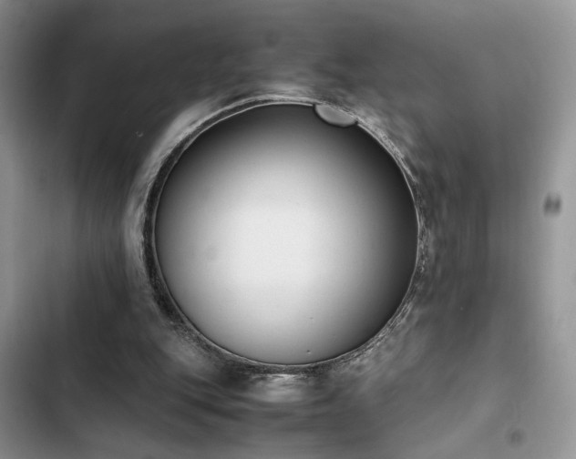 X0000102860151200808181450