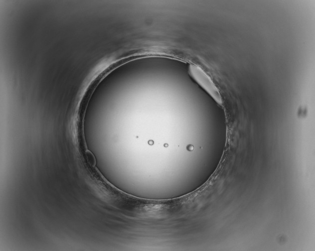 X0000102860152200808181450