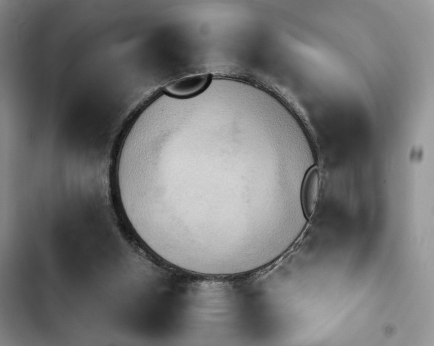 X0000102860154200808181450