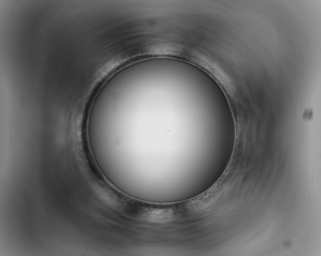 X0000102860155200808181450