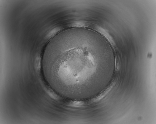 X0000102860157200808181450