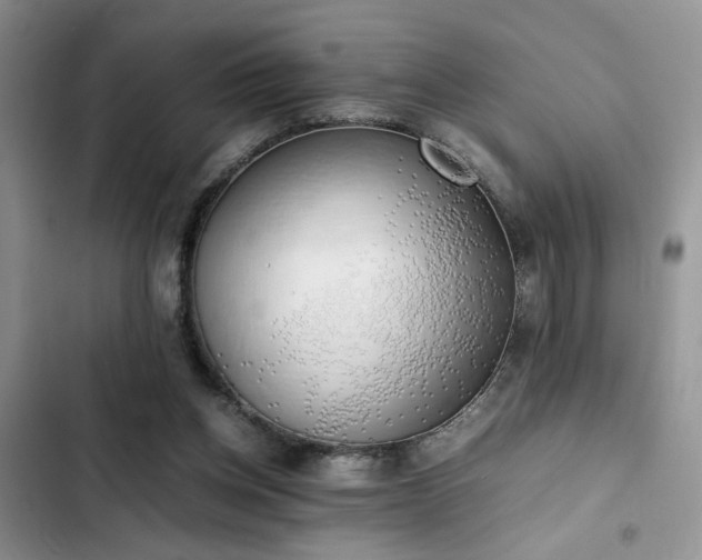 X0000102860158200808181450