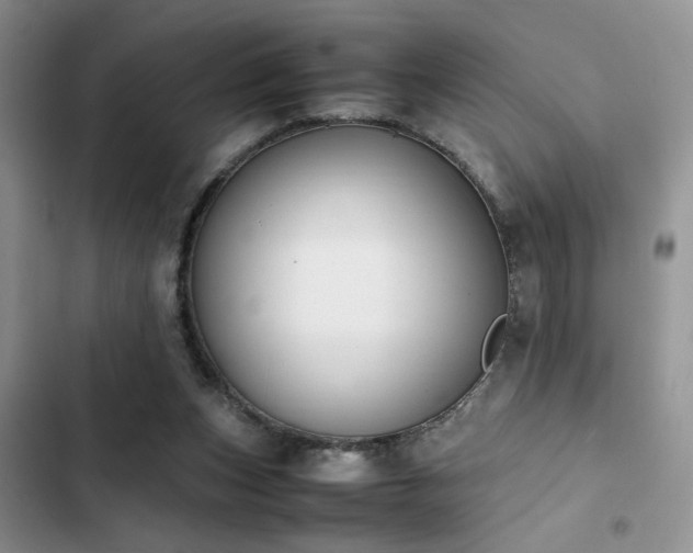 X0000102860159200808181450