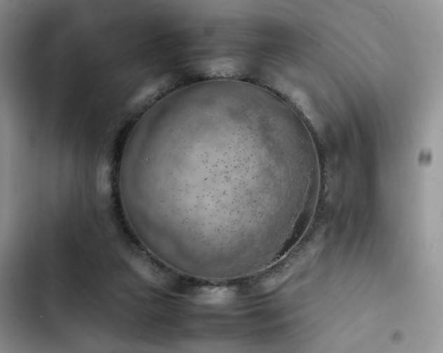 X0000102860161200808181450