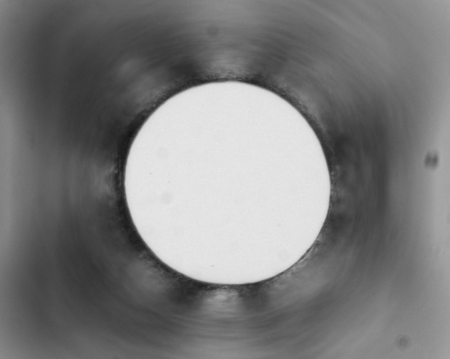 X0000102860162200808181450