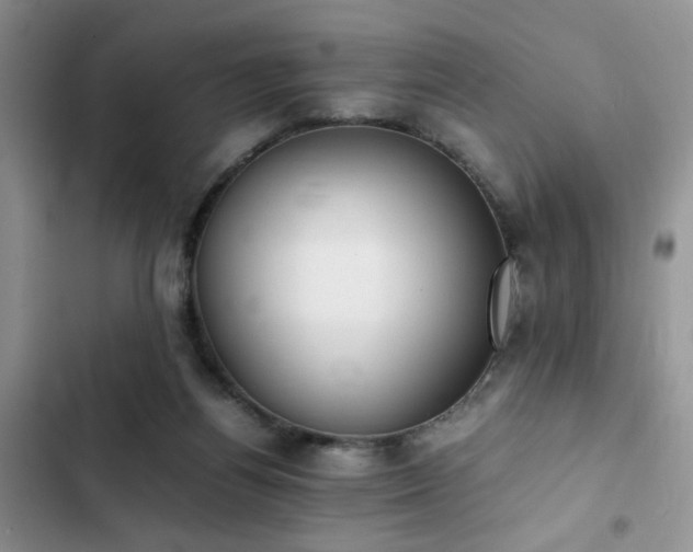 X0000102860164200808181450