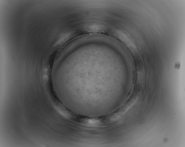 X0000102860165200808181450