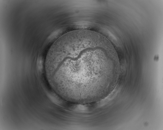 X0000102860166200808181450