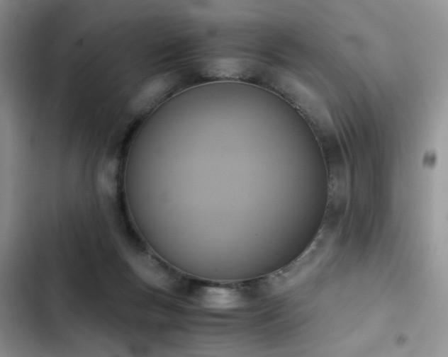 X0000102860167200808181450