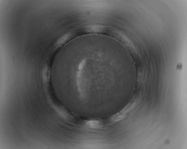 X0000102860168200808181450