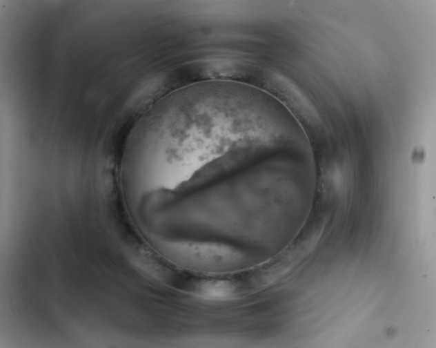 X0000102860169200808181450