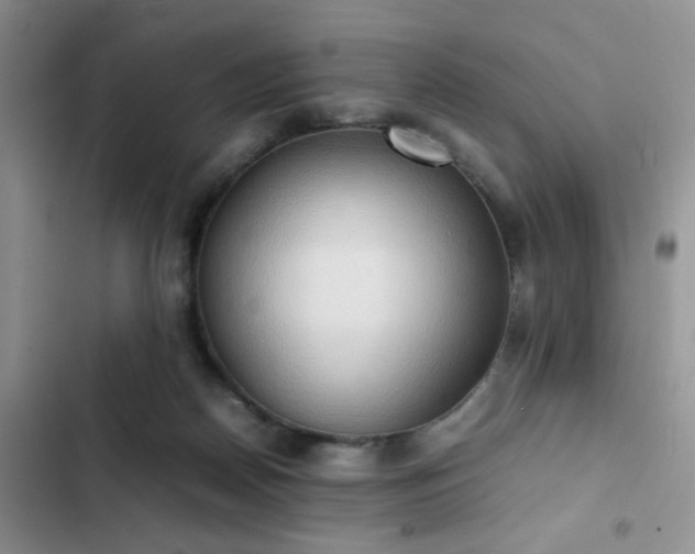 X0000102860170200808181450