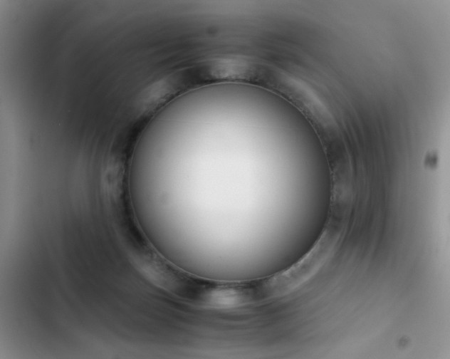 X0000102860171200808181450