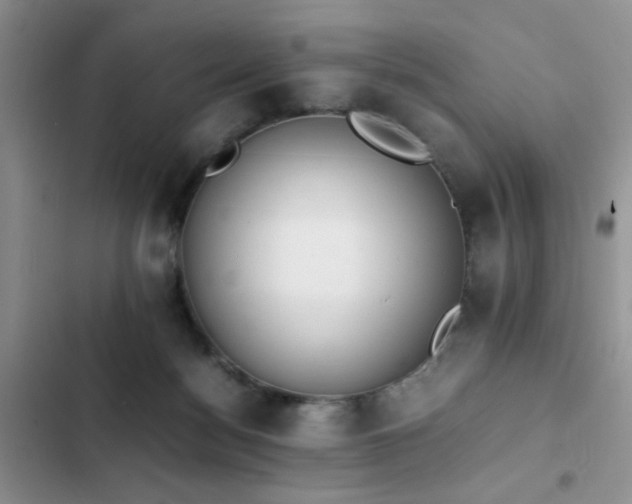 X0000102860172200808181450