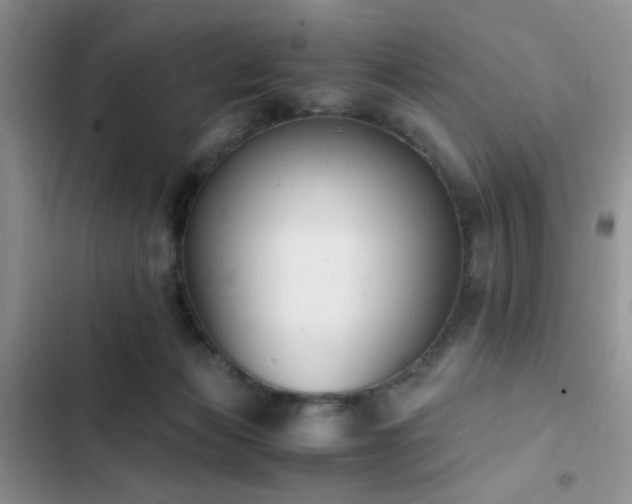 X0000102860173200808181450