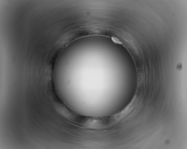 X0000102860174200808181450