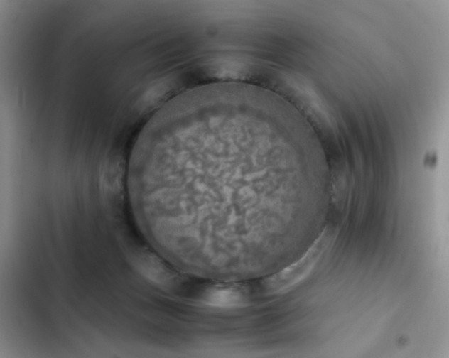 X0000102860175200808181450