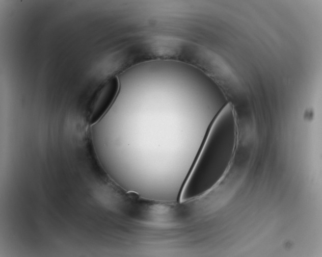 X0000102860176200808181450