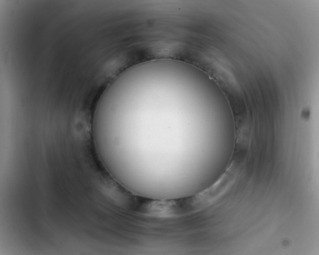 X0000102860179200808181450