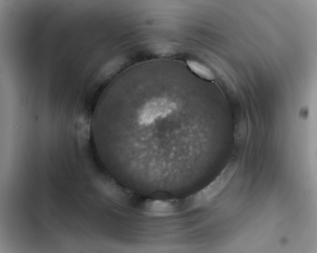 X0000102860180200808181450