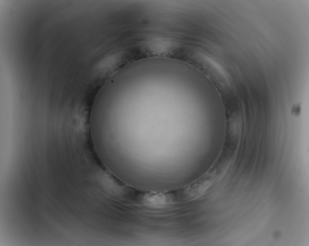 X0000102860181200808181450