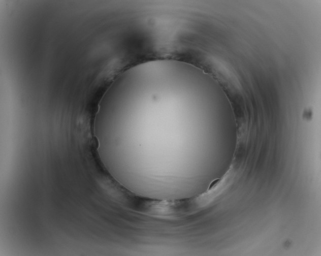 X0000102860182200808181450