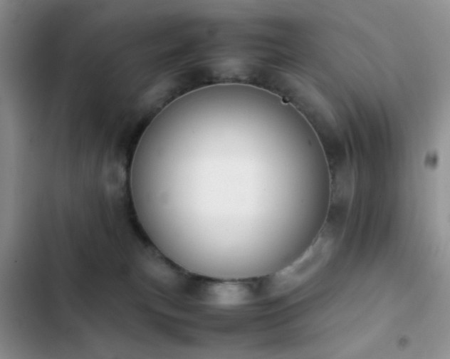 X0000102860183200808181450