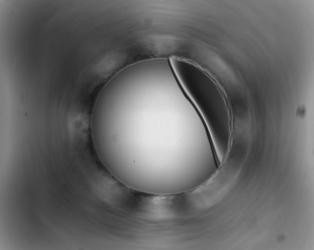 X0000102860184200808181450