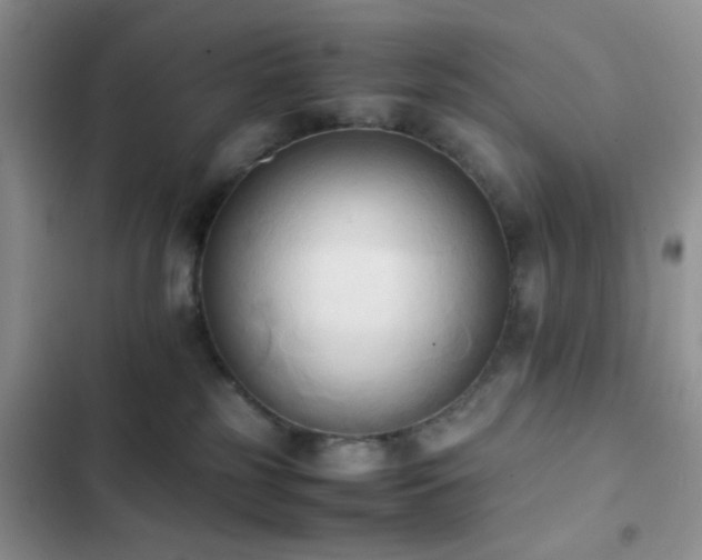 X0000102860185200808181450