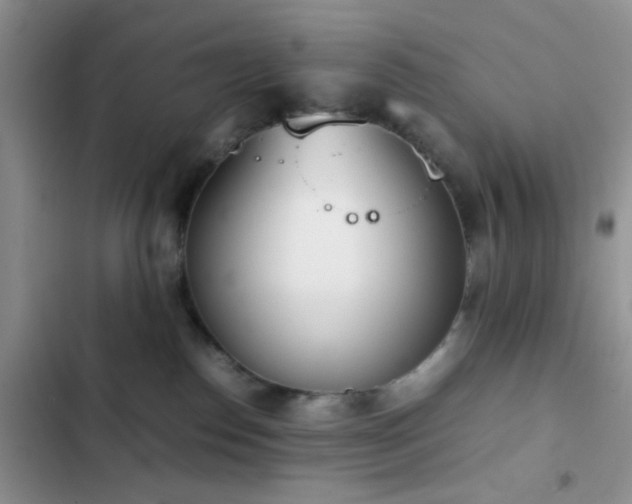 X0000102860186200808181450