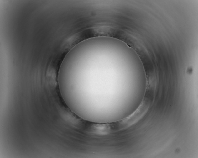 X0000102860187200808181450