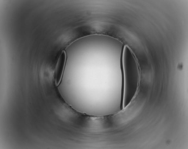 X0000102860188200808181450