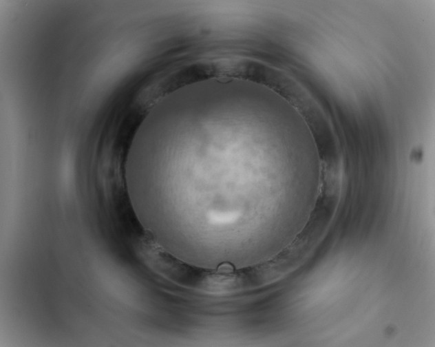 X0000102860189200808181450