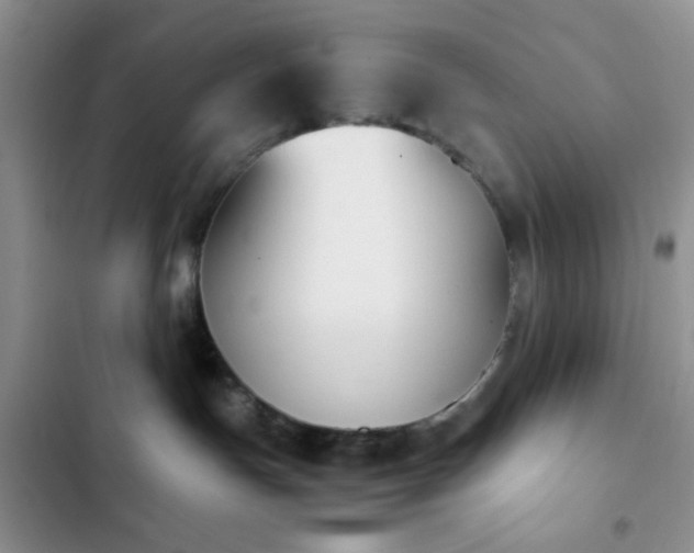 X0000102860191200808181450