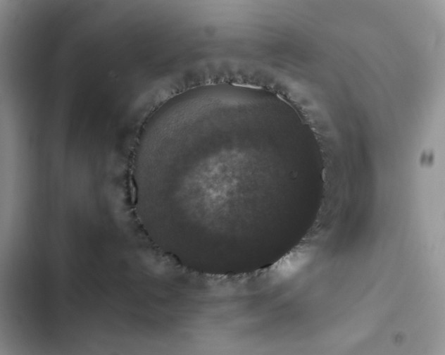 X0000102860192200808181450